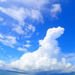 シュノーケル終了