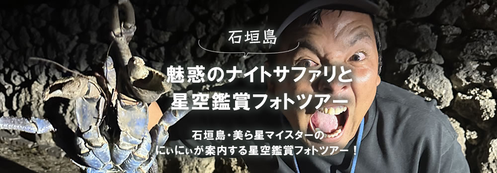 石垣島 魅惑のナイトサファリ☆星空鑑賞ツアー