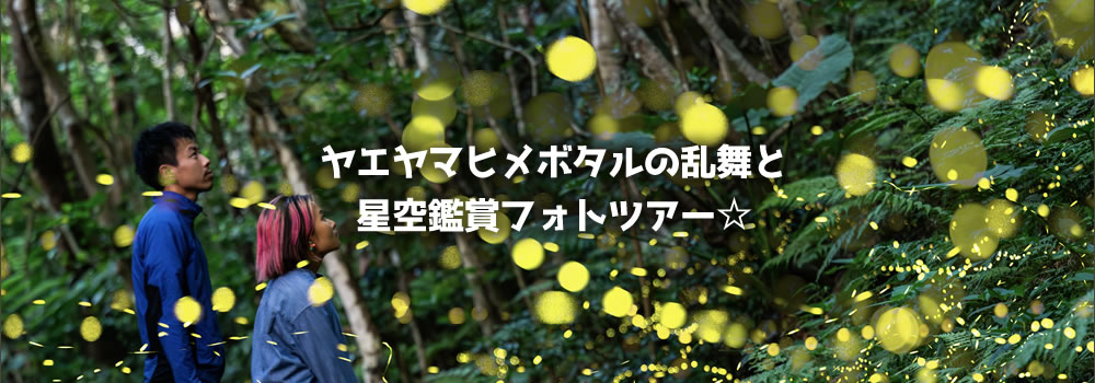 ヤエヤマヒメボタルの乱舞と星空鑑賞フォトツアー