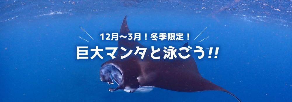 水面マンタ・ウミガメ探索シュノーケルツアー