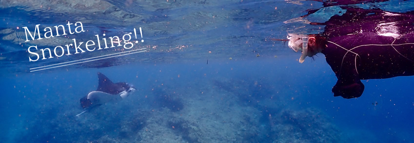 水面マンタ・ウミガメ探索シュノーケルツアー