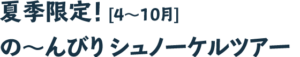夏季限定！の～んびりシュノーケルツアー