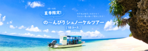 夏季限定！の～んびりシュノーケルツアー