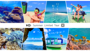 夏季限定！の～んびりシュノーケルツアー