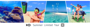 夏季限定のんびりシュノーケル